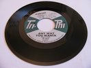 HARVEY - ANY WAY YOU WANTA / SHE LOVES ME SO - TRI-PHI