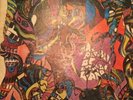 The Red Krayola-The Parable of the Arable Land Original 1967 Vinyl Record Stereo