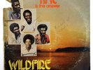 Wildfire 