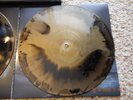 Mastodon Remission Box Set Black / Gold Vinyl Etched Slipmat Fully Signed