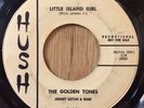 The Golden Tones - Little Island Girl / Doreetha   Hush doo-wop R&B soul dj 45