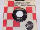 CHUCK BERRY Brenda Lee/You Never Can Tell 1964 Chess 1906 dj promo r&r r&b 45 V+