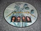 METALLICA -AND JUSTICE FOR ALL- VERY HARD TO FIND LTD EDITION PICTURE LP PRO USA