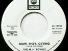 THE M. H. ROYALS - HEAR IT- 1967 DJ COPY - NOW SHE'S CRYING / OLD TOWN - GARAGE