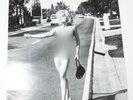 VINTAGE 90's MADONNA POSTER - SEX BOOK, EROTICA, HITCH-HIKING 59.5 x 84cm - NUDE