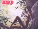 RARE BIRD - SYMPATHY - 12