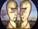 PINK FLOYD - THE DIVISION BELL  - PICTURE DISC   -  LP