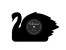 The Format Band Music Limited Edition Black Swans Vinyl 7
