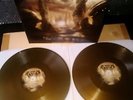 BEYOND CREATION Earthborn Evolution Doppel Gatefold Gold Vinyl LP Limited: 400