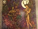 (Forest) Self Titled LP SKAO-419 Harvest (Stereo) EMI England.