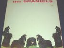 1960 Spaniels ?The Spaniels LP,  original