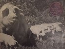Pink Floyd - The best of tour  72 , The Dark Side Of The Moon Vinyl Record Vg+