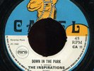 Inspirations - Down In The Park UK Camel 7