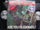 Neil Young - Are You Passionate? -Shrinkwrap 180-Gram 2-LP Set -Vapor Records