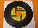 THE E-TYPES I can't do it LINK 45 CALIFORNIA MOODY GARAGE JANGLE HEAR