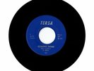 HEAR Blue Condition Lost Love/Coming Home on Tersa RARE GARAGE PSYCH 45 PRIVATE