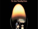COLUMBIA | The Mahavishnu Orchestra - The Inner Mounting Flame 180g LP NEU