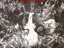 Keith Hudson - Flesh Of My Skin, Blood Of My Blood (LP)