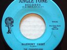 ANGLE TONE 521 Chandeliers orig R&B/DooWop 45 Excellent Blueberry Sweet