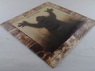 JOHN LEE HOOKER - The Healer LP  1°ST US Press  Collectors Copy