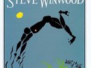 STEVE WINWOOD Arc Of A Diver LP Vinyl 180gm NEW 2017