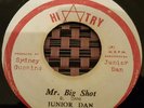 Junior Dan Mr. Big Shot Killer Roots 7