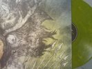 Fortress - Protest The Hero Vinyl (green marbled)