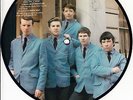 THE ANIMALS  The House Of The Rising Sun PICTURE DISC EP 7