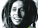 Bob Marley and The Wailers-Kaya  Vinyl / 12