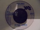 PETER JAMES.FEELINGS/DEAN RODGERS. HIGH IN THE MISTY SKY.POPCORN.MELLOW