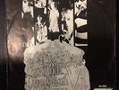 Rolling Stones - Dandelion b/w We Love You 45 with picture sleeve
