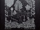 Dead Can Dance - Garden Of The Arcane Delights/John Peel Sessions Vinyl  0554031