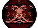 Atmosphere Uncluded 10 Picture Disc Rhymesayers Aesop Rock Kimya Dawson Slug Ant