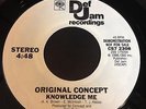 Original Concept: Knowledge Me / Can You Feel It? 45 - Rap