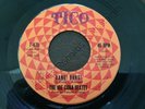 Latin Soul / Boogaloo (45) THE JOE CUBA SEXTET 