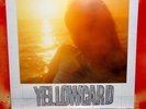 Yellowcard: Ocean Avenue Vinyl LP OOP. Paper Walls. Lift A Sail. Still Standing.