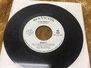 ELVIS PRESLEY spinout All That I Am 7