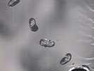 Peter Gabriel - Up, 2 x Vinyl LP, Classic Records 200g, 2002 *SEALED* Rare