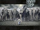 The Allman Brothers Band - Hittin' The Note [2LP] (Ivory Colored Vinyl) LIMITED
