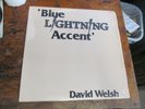 DAVID WELSH Blue Lightning Accent LP BLUE ASH private 80s rock psych VG++ RARE
