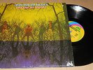 AMERICAN BLUES LP do their thing ZZ TOP psych FUZZ garage UNI original 1968