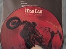Meatloaf Bat Out Of Hell Rare Picture Disc Vinyl 12