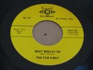 RARE OHIO GARAGE PSYCH 45 - THE FAR A WAY - WHAT WOULD I DO - JEWEL