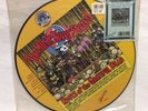 ROOTS IN THE GRATEFUL DEAD   MUSIC NEVER STOPPED   LE PICTURE LP SHANACHEE 6014