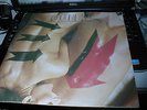 QUEEN BODY LANGUAGE RARE CANADA IMPORT 12