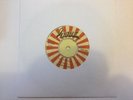 The Wrigglers - The Cooler. (Classic Rocksteady - Giant GN26)