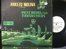 PETE ROJAS Y SUS FANTASTICOS / LATIN - SALSA GUAGUANCÓ / RARE VENEZ*