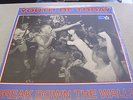 Youth Of Today - Break Down The Walls - LP Vinyl / Neu&OVP/ Color Vinyl