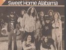 LYNYRD SKYNYRD Sweet Home Alabama 7