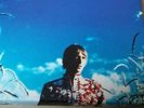 Paul weller Modern Classics